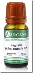 Magnetic Polus Australis